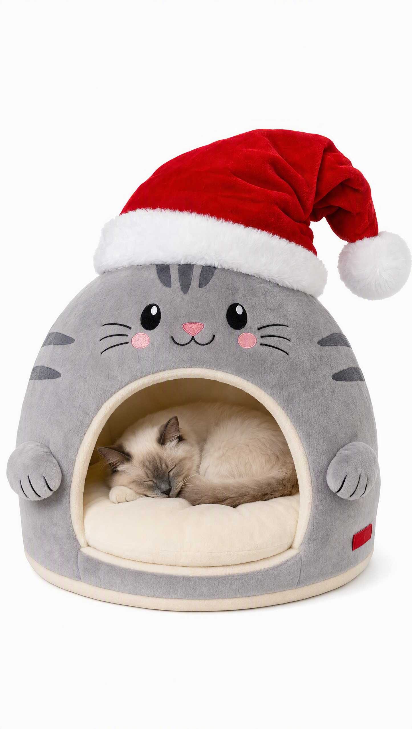 Festive felines
